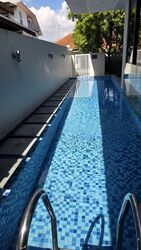 Serangoon Garden Estate (D19), Semi-Detached #554748481